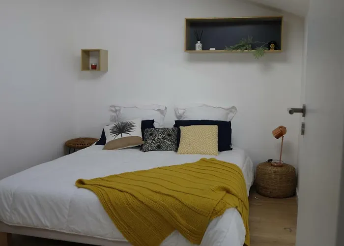 Apartment Luxueux 3 Pieces - Wilson Nice